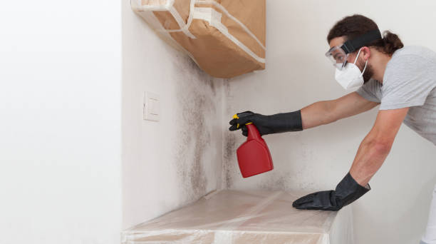 Professional Crawl Space Mold Removal technician working in Huntingtown, MD